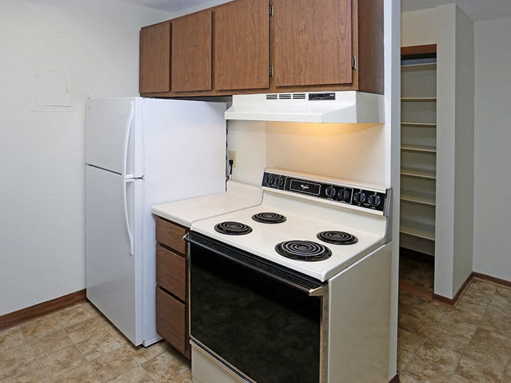 Rochester MN apts with electric appliances